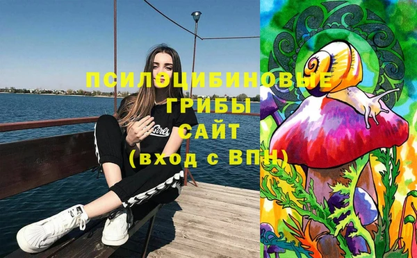 2c-b Абинск